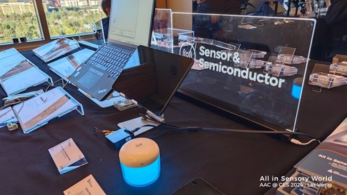 all in sensory world 瑞声科技ces 2024现场直击