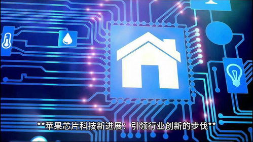 芯片科技 科技发展 科技创新